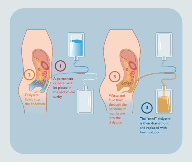 A journey of love and resilience